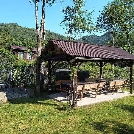 Casa De Vacanta Vidrighin Rau Sadului Buitenkant foto