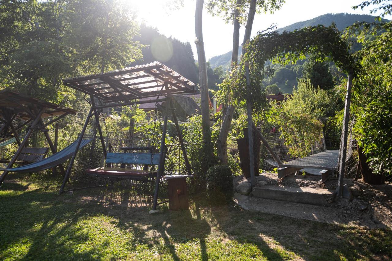 Casa De Vacanta Vidrighin Rau Sadului Buitenkant foto