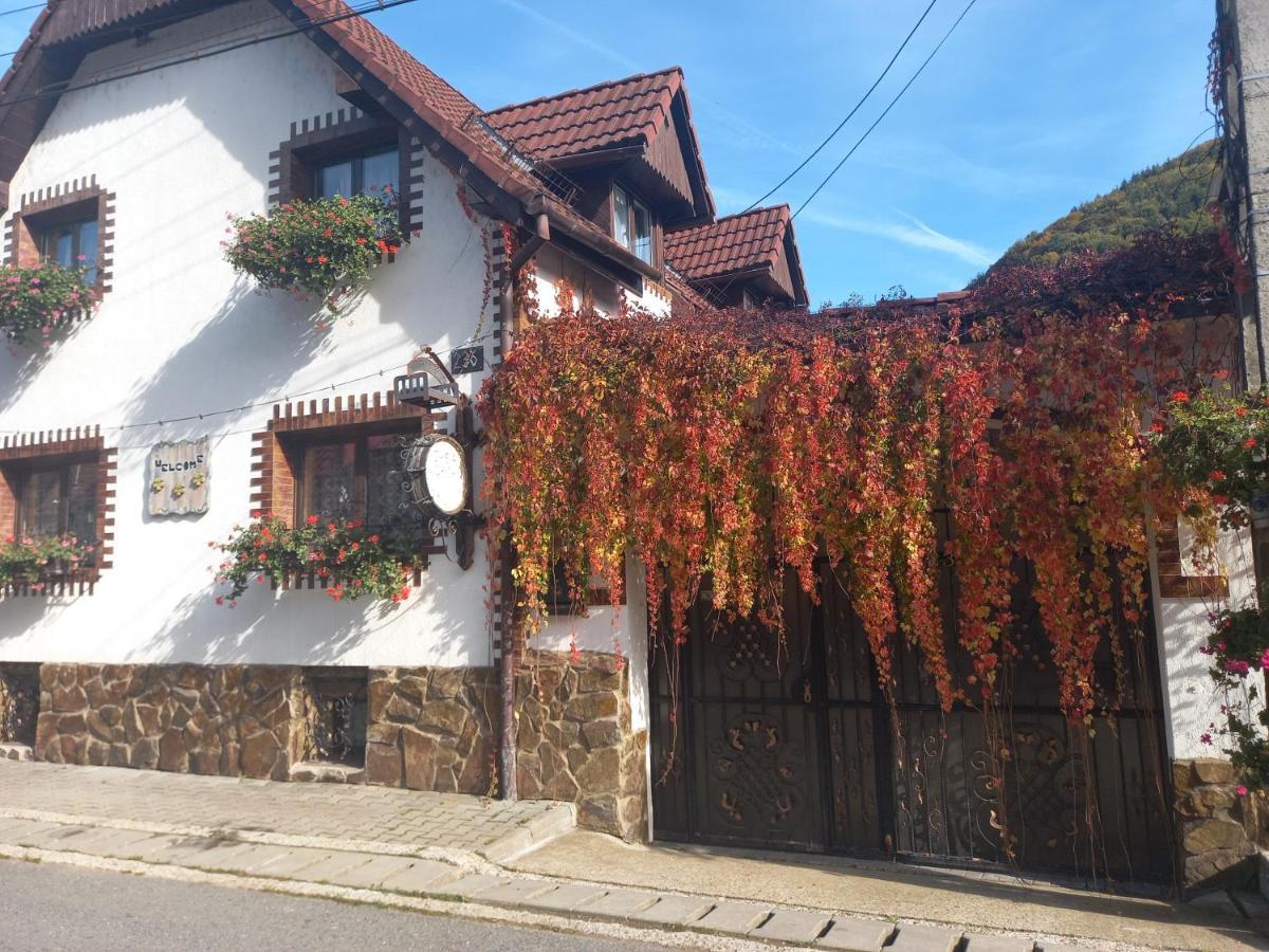 Casa De Vacanta Vidrighin Rau Sadului Buitenkant foto