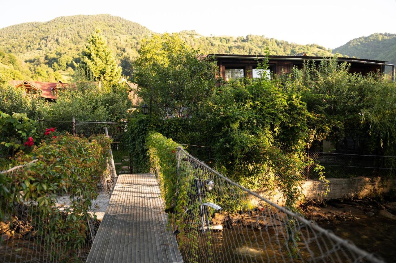 Casa De Vacanta Vidrighin Rau Sadului Buitenkant foto