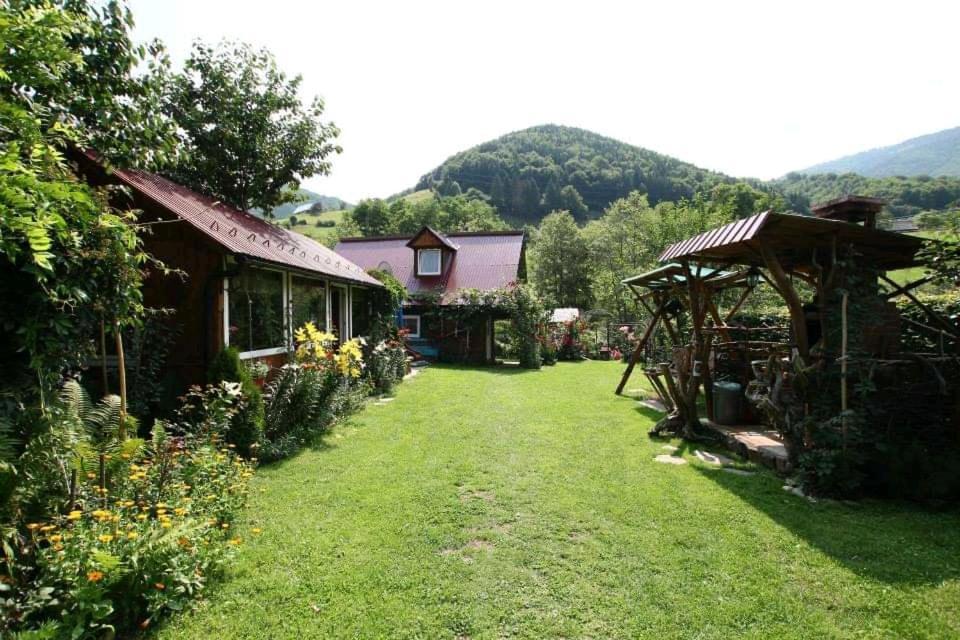 Casa De Vacanta Vidrighin Rau Sadului Buitenkant foto