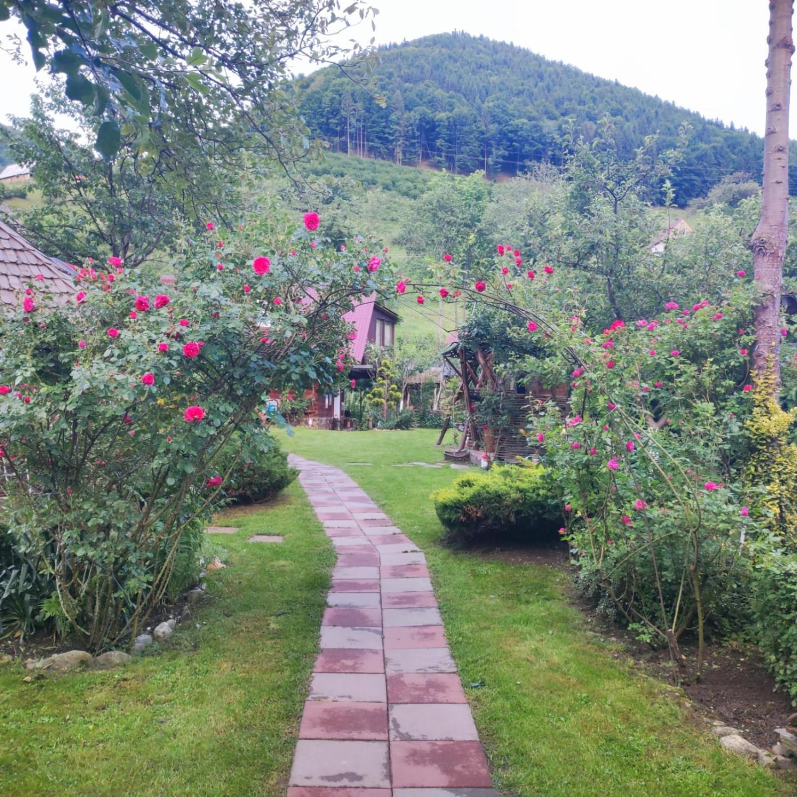 Casa De Vacanta Vidrighin Rau Sadului Kamer foto