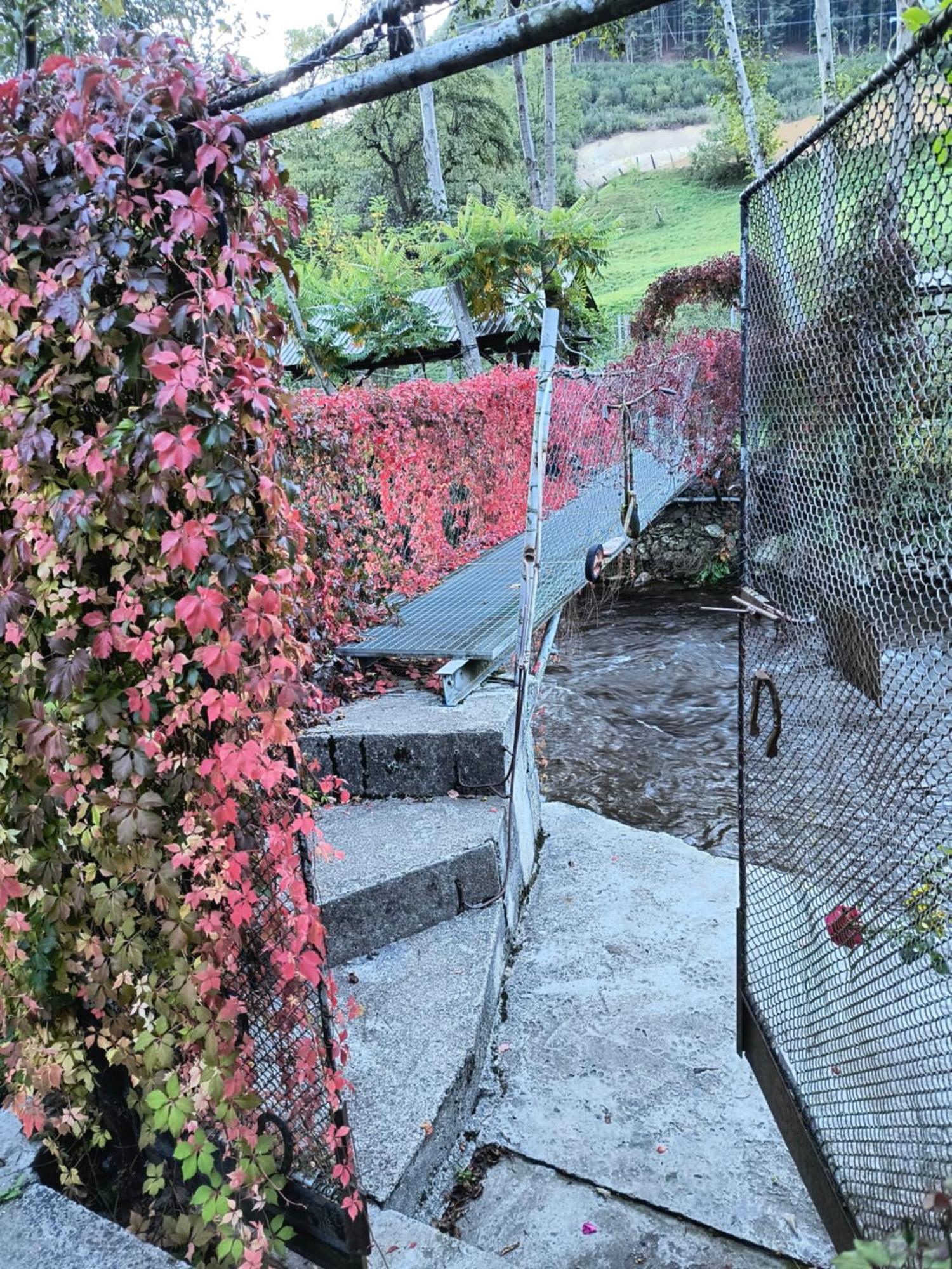 Casa De Vacanta Vidrighin Rau Sadului Kamer foto