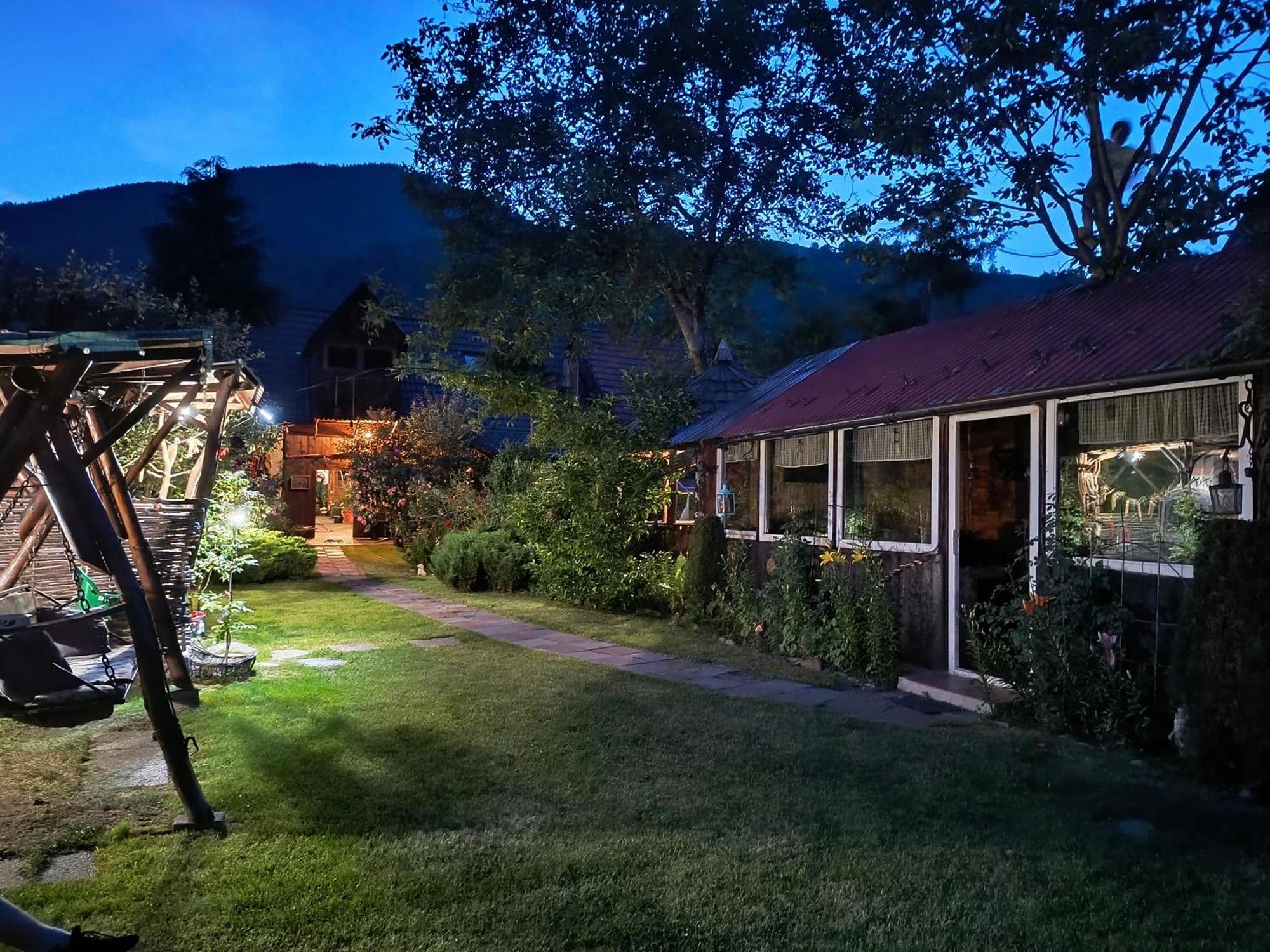 Casa De Vacanta Vidrighin Rau Sadului Buitenkant foto